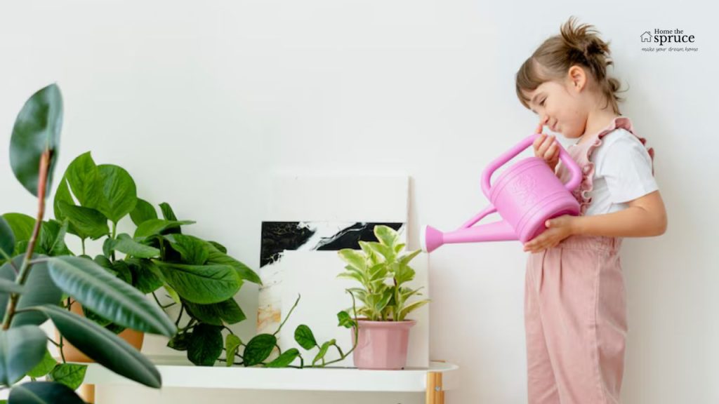 The Extraordinary Chance Of Having House Plants