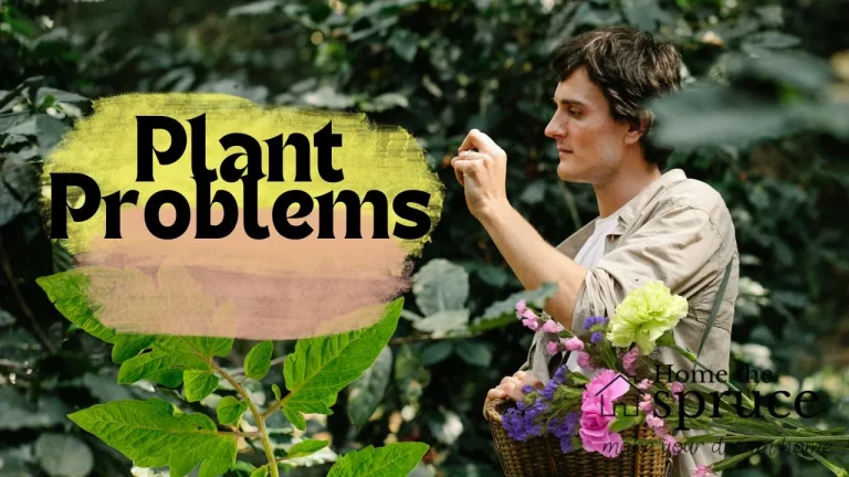 Plant Problems