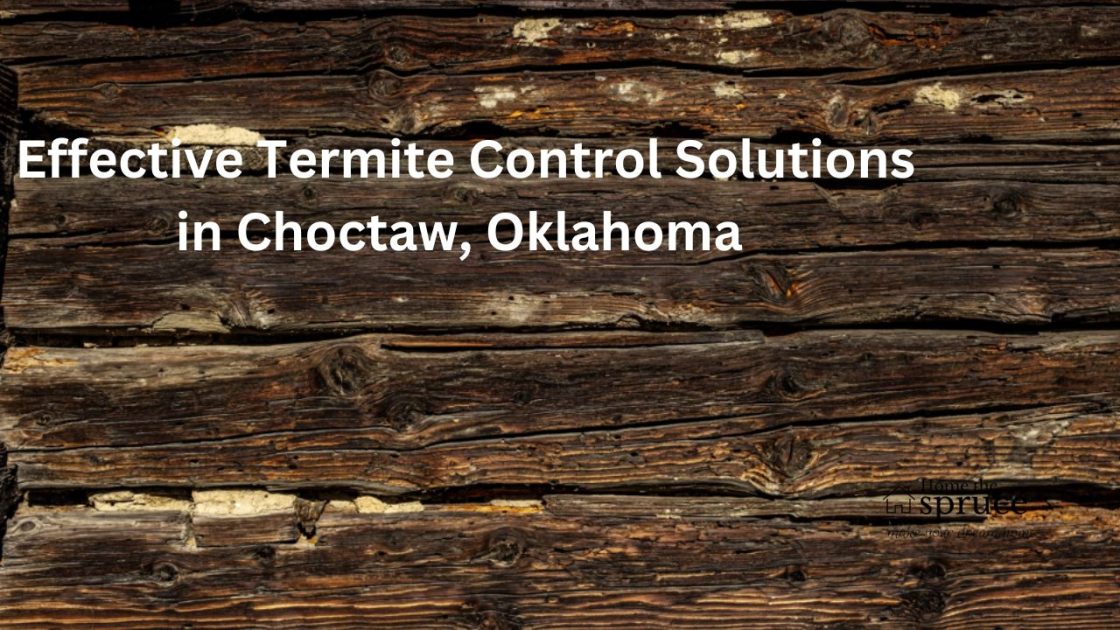 Effective Termite Control Solutions in Choctaw, Oklahoma