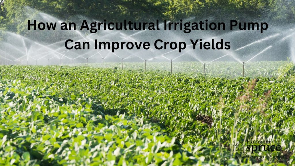 How an Agricultural Irrigation Pump Can Improve Crop Yields