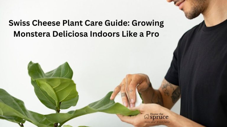 Swiss Cheese Plant Care Guide: Growing Monstera Deliciosa Indoors Like a Pro