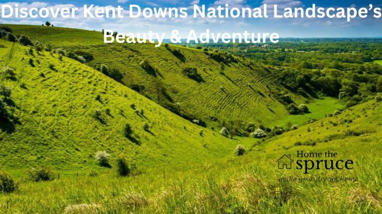 Discover Kent Downs National Landscape’s Beauty & Adventure