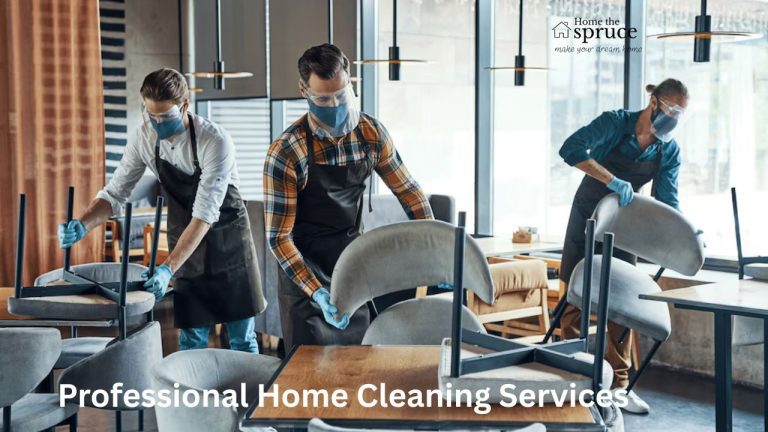 Professional Home Cleaning Services