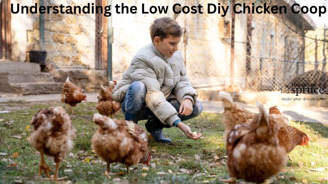 Understanding the Low Cost Diy Chicken Coop