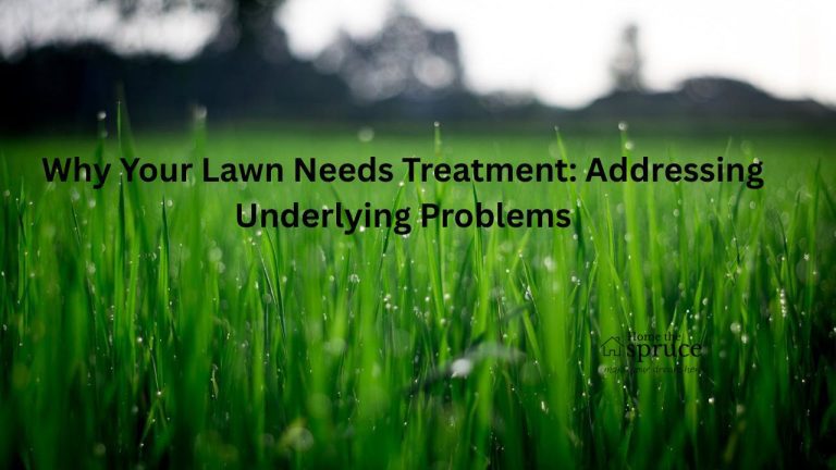 Why Your Lawn Needs Treatment: Addressing Underlying Problems