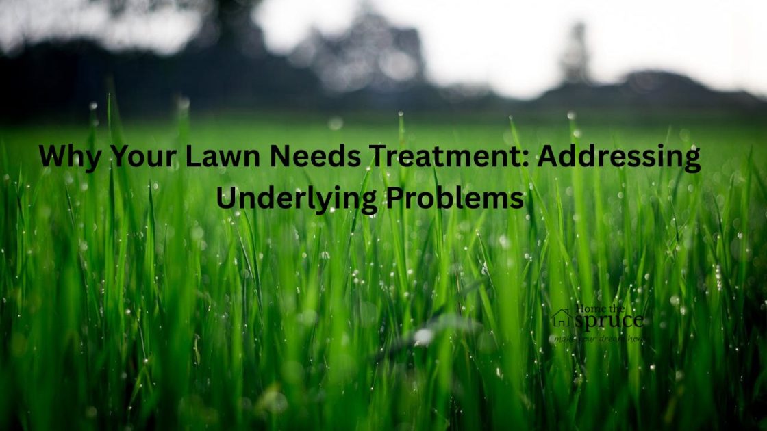 Why Your Lawn Needs Treatment: Addressing Underlying Problems