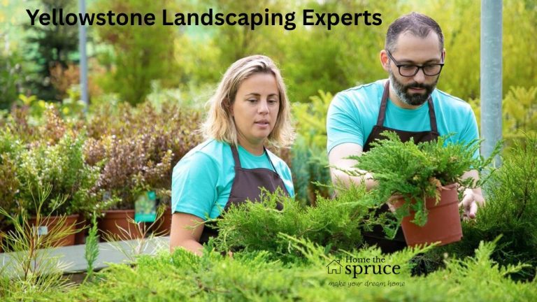 Transform Your Property with Yellowstone Landscaping Experts