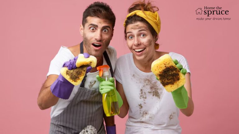 Deep Clean vs Regular Clean What House Cleaning Services Offer