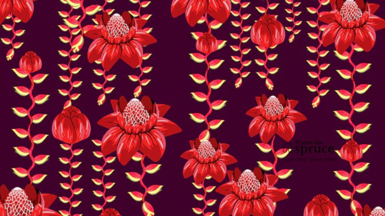 Wallpaper Singapore A Stylish Solution For Your Home Decor
