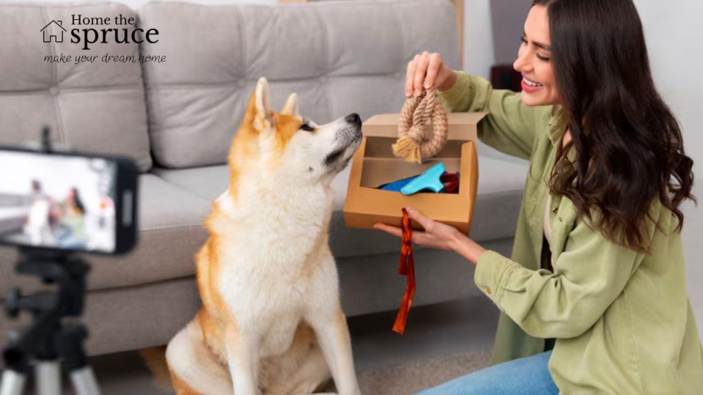 Pet Place Beamer The Ultimate Guide to Pet Happiness