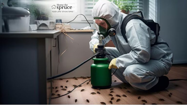 Smart Solutions Top Tips for Keeping Pests Out of Your Home