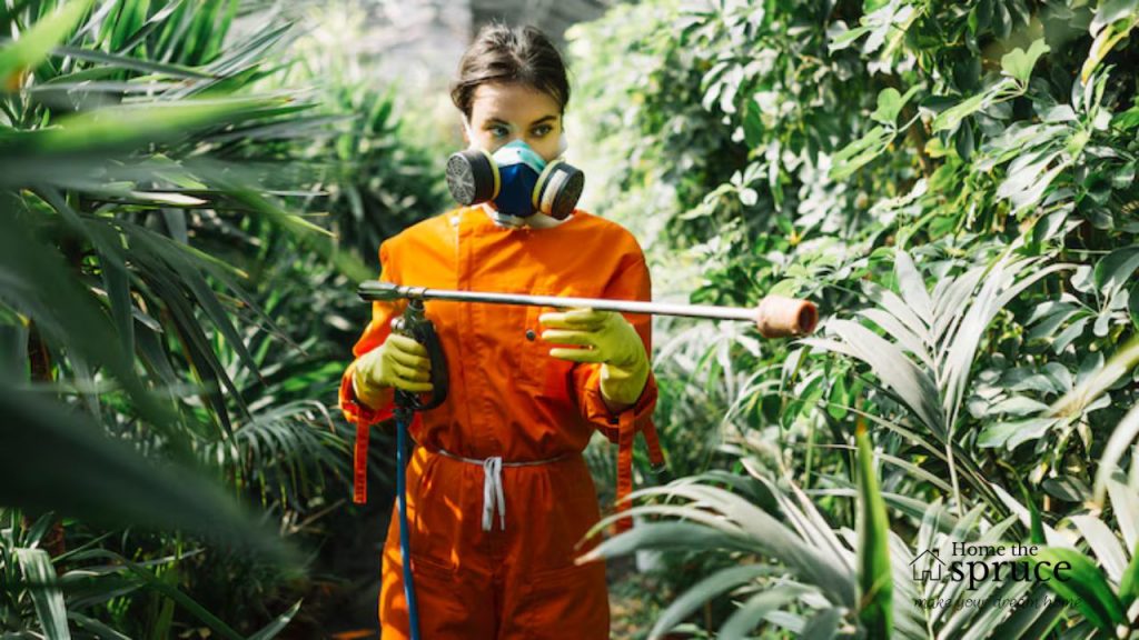 Stop Letting Bugs Win Here’s How Real Gardeners Take Their Yards Back