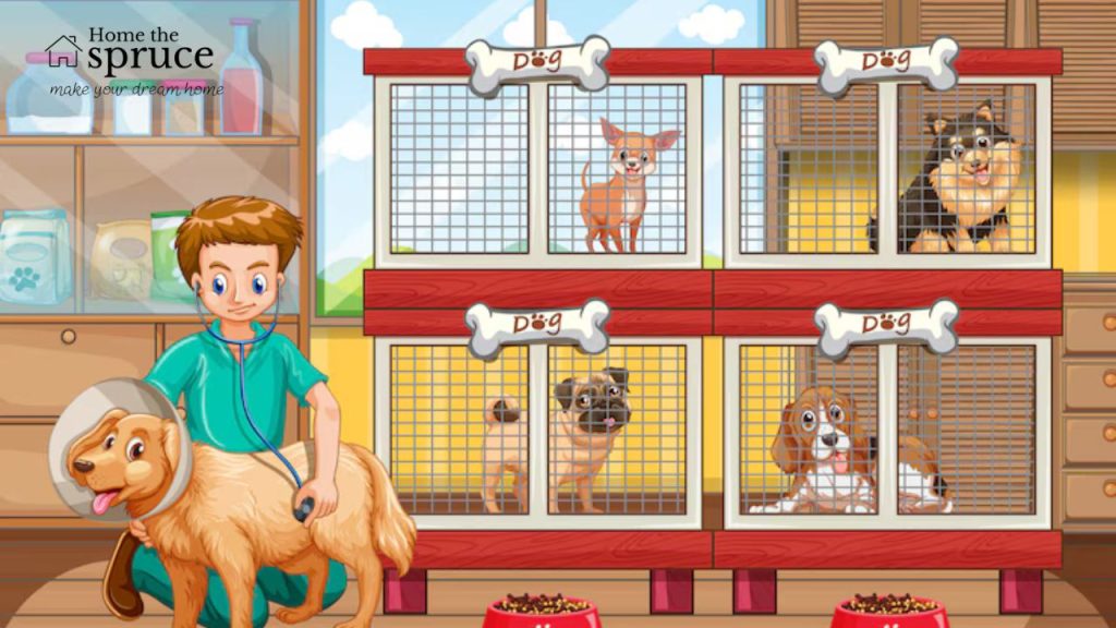 The Building Blocks of Pet Place Beamer