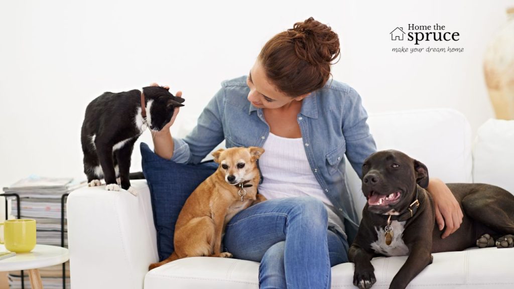 Why Does Pet Happiness Matter