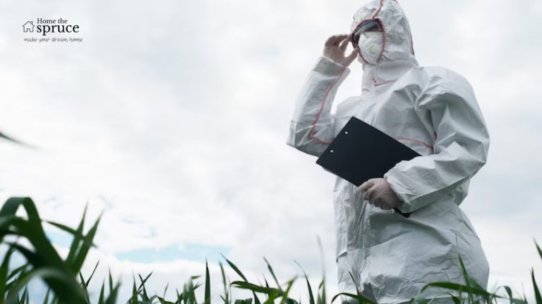 Why It’s Smart to Call the Pros Top Reasons to Hire Pest Treatment Experts