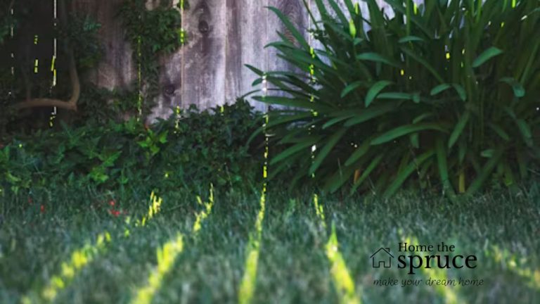 Home Upgrades That Actually Pay Off—Starting with Your Lawn