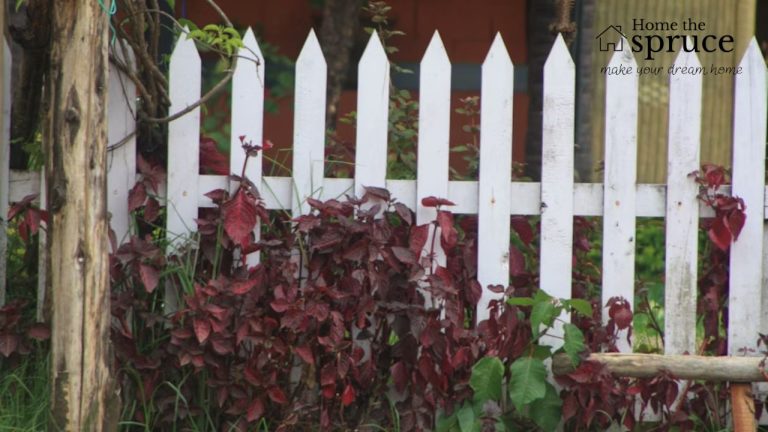 When to DIY vs. Hire a Professional for Garden Fence Installation