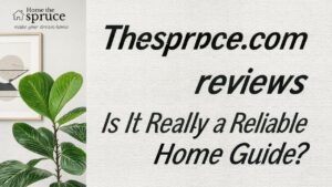 Thespruce.com reviews Is It Really a Reliable Home Guide