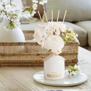 Elegant Reed Diffuser for a Fresh and Cozy Home Aesthetic