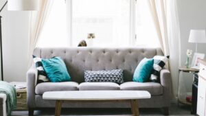 Best Sofa Top Features to Consider Before Choosing One
