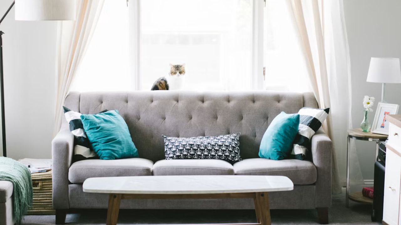 Best Sofa Top Features to Consider Before Choosing One