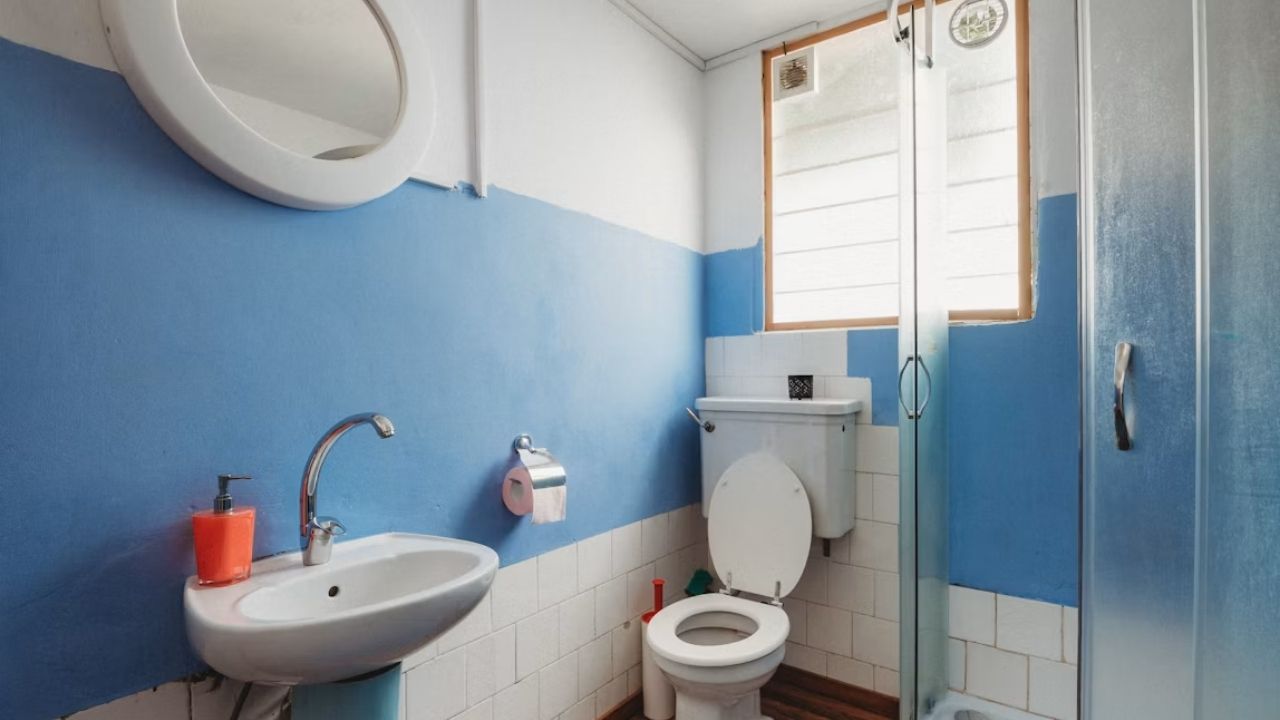 How Much Does a Toilet Weigh Complete Guide
